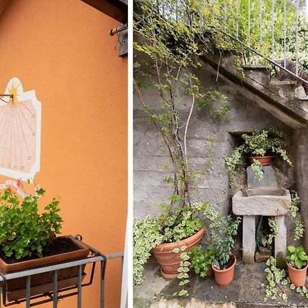 Casetta Di Butia, Ginestra Apartment With Swimming Pool ボルゴ・ア・モッツァーノ エクステリア 写真