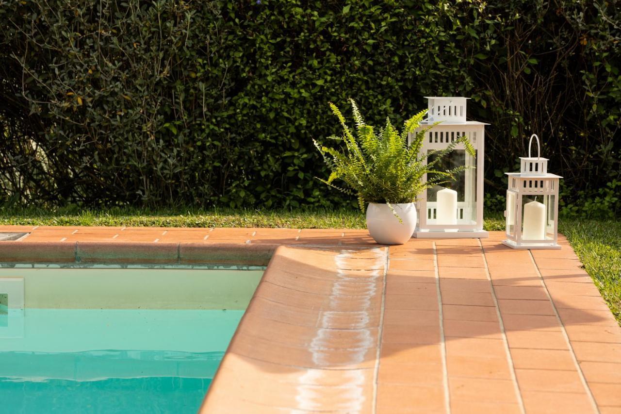 Casetta Di Butia, Ginestra Apartment With Swimming Pool ボルゴ・ア・モッツァーノ エクステリア 写真