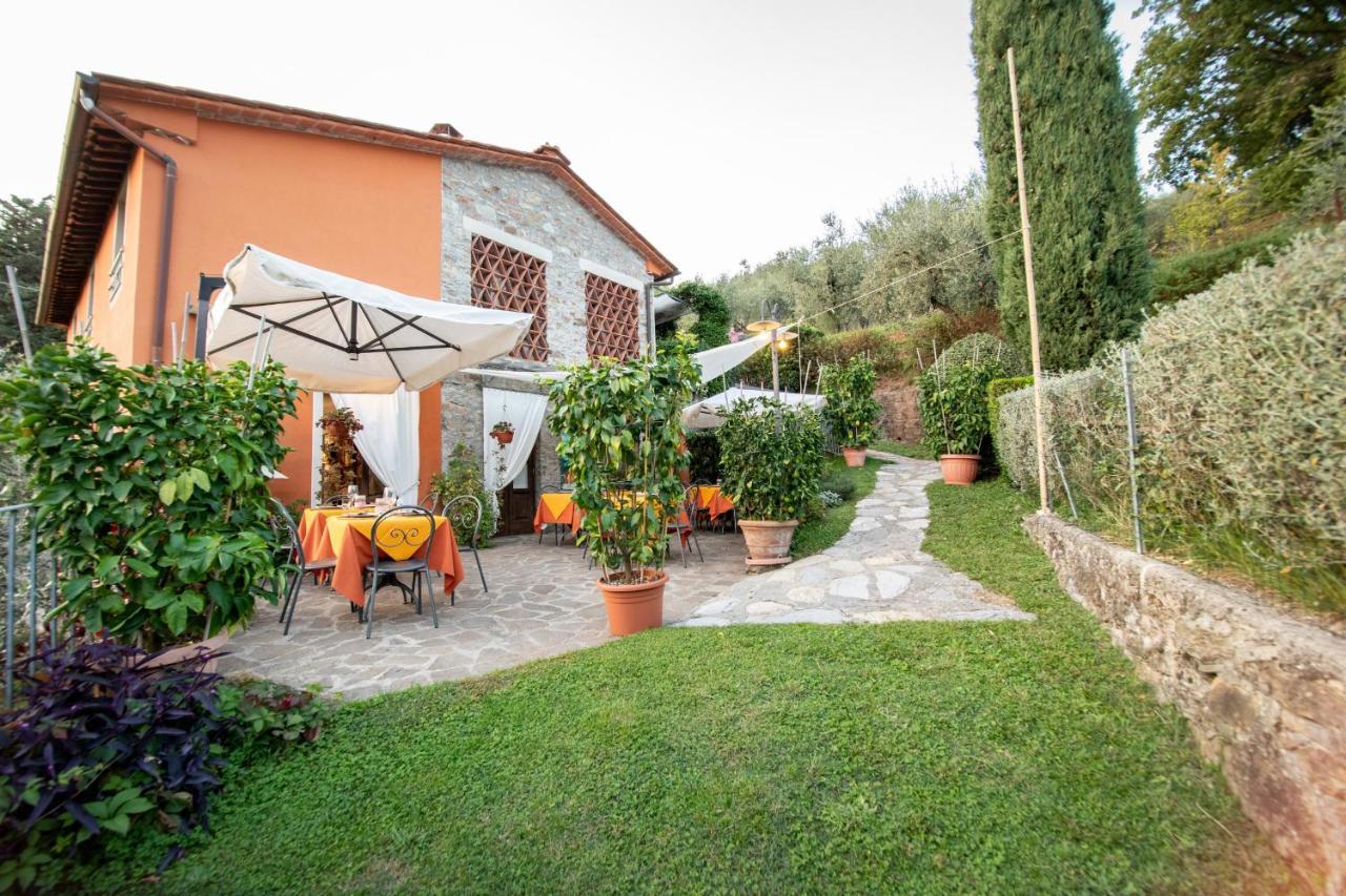 Casetta Di Butia, Ginestra Apartment With Swimming Pool ボルゴ・ア・モッツァーノ エクステリア 写真