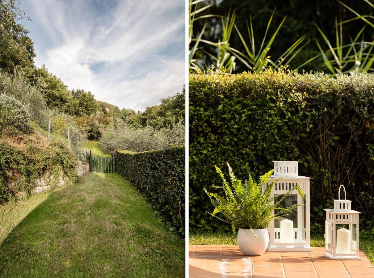 Casetta Di Butia, Ginestra Apartment With Swimming Pool ボルゴ・ア・モッツァーノ エクステリア 写真