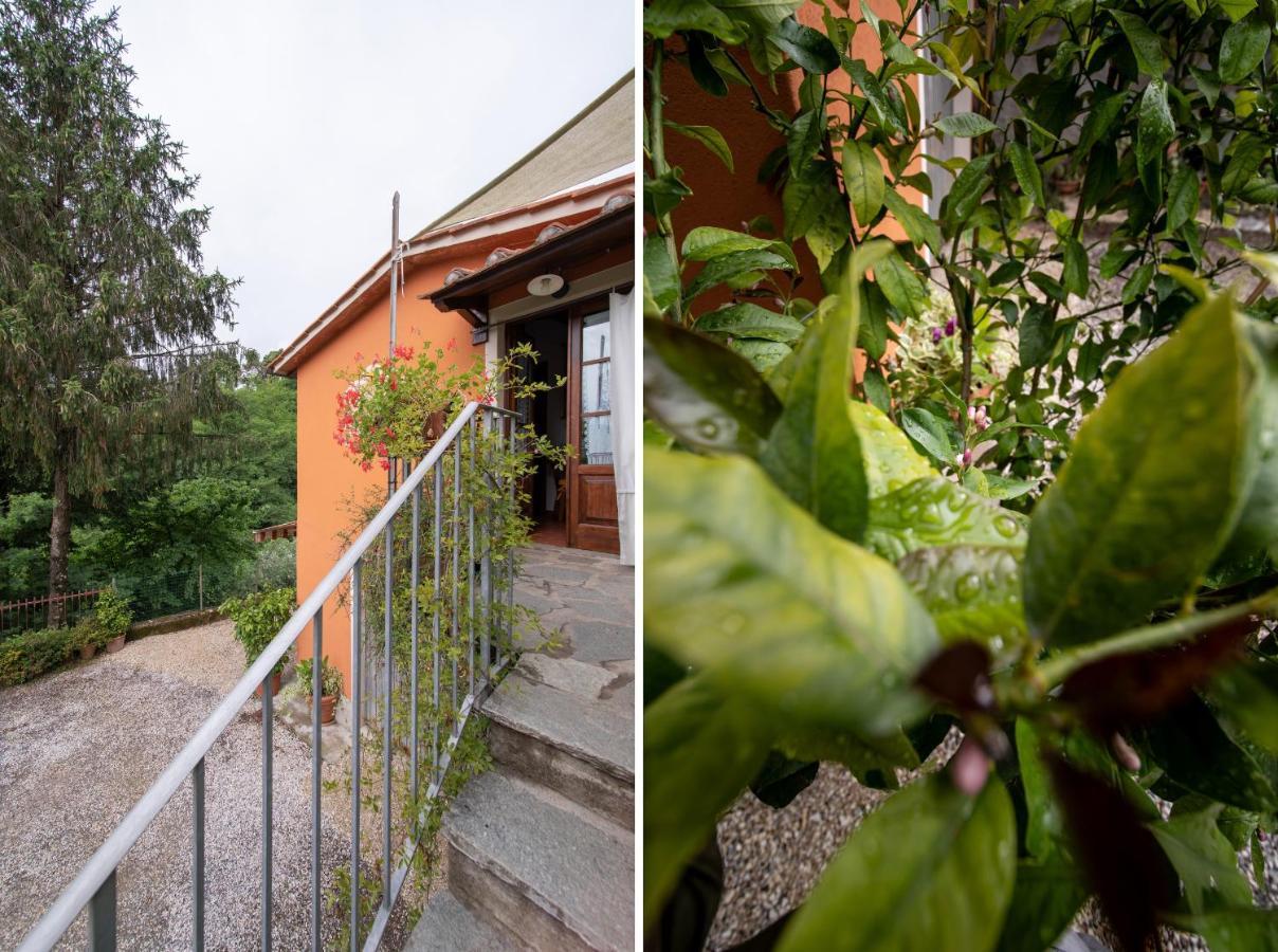 Casetta Di Butia, Ginestra Apartment With Swimming Pool ボルゴ・ア・モッツァーノ エクステリア 写真