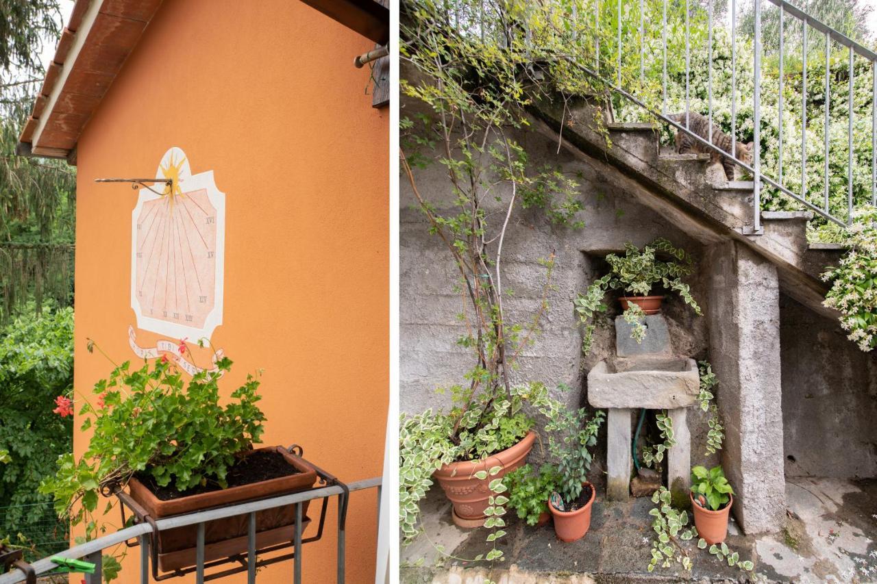 Casetta Di Butia, Ginestra Apartment With Swimming Pool ボルゴ・ア・モッツァーノ エクステリア 写真